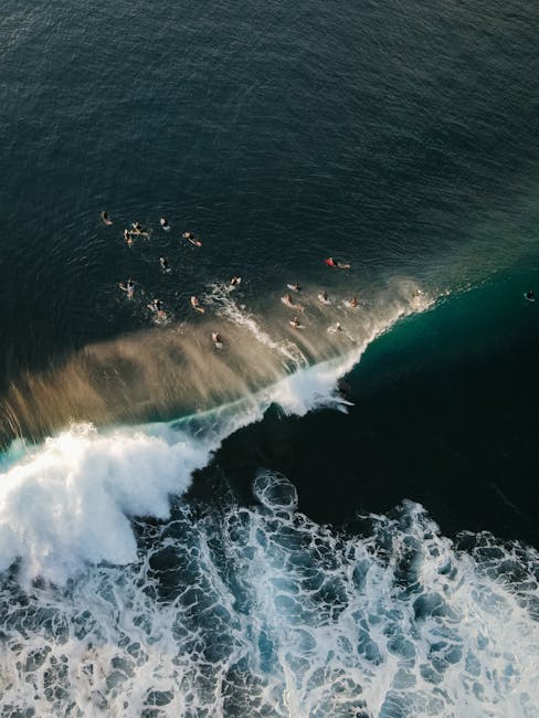 Planches colorées alignées sur le sable devant le local Surf Bayonne